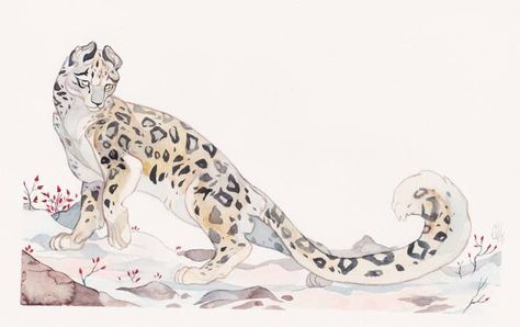 Snow Leopard Art, Leopard Drawing, Leopard Art, Big Cats Art, Animals Artwork, Animal Sketches, Creature Concept Art, Cats Art, Snow Leopard