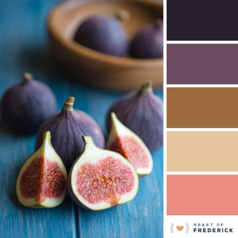 Rich Figs | Color Palette Today's Inspiration, Color Plan, Brand Color Palette, Color Palate, Eye Opening, Color Inspo, Colour Schemes, Color Theory, Summer Colors