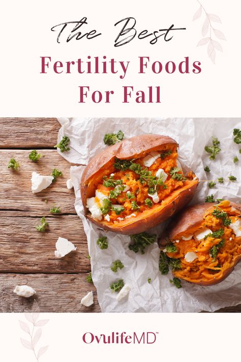 Ttc Dinner Recipes, Best Fertility Foods, Recipes To Boost Fertility, Foods To Eat To Increase Fertility, Fertility Friendly Meals, Fertility Foods Recipes, Fertility Breakfast Recipes, Fertility Boosting Recipes, Foods To Eat To Help With Fertility