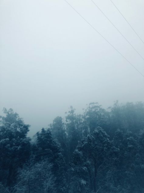 #twilight #trees #snow #cold #winter #aesthetic #books #cozy #blue #nature #outdoor #holiday Twilight Zone, Water