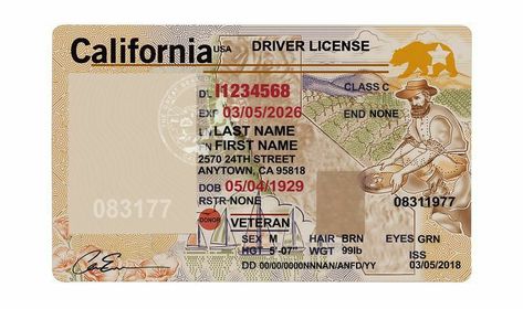 California Driving License, Usa Driving License, Blank Id Cards, Passport Template, Bill Template, Apple Gift Card, Medical Photos, Driver License, Id Card Template