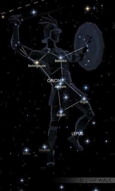 Orion Aesthetic, Astronomy Stars, Orion Constellation, Astronomy Constellations, Astronomy Science, Best Character Names, Constellation Map, Planets Wallpaper, Sky Full Of Stars