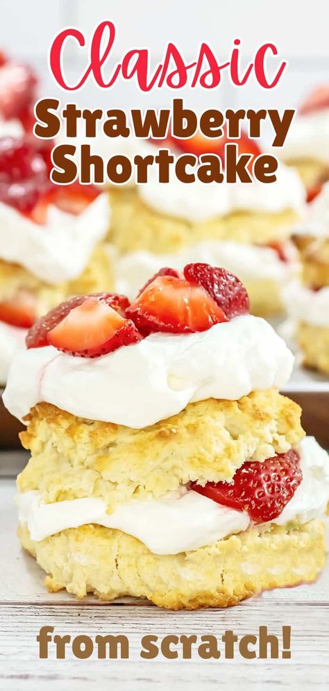 Strawberry Shortcake Biscuits, Soft Biscuits, Seasonal Recipes Fall, Strawberries And Whipped Cream, Shortcake Biscuits, Homemade Strawberry Shortcake, Berry Shortcake, Popular Dessert, Strawberry Shortcakes