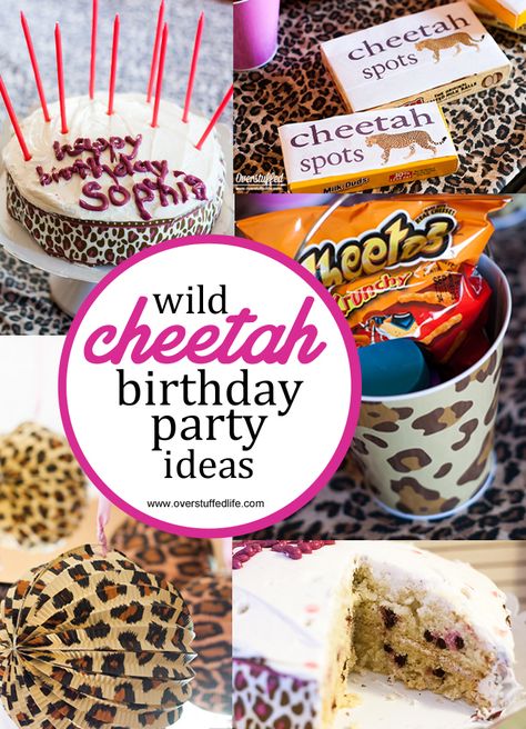 Cheetah birthday party ideas: Great ideas for cheetah themed invitations, party decorations, cake, party favors, and fun cheetah games to play. #overstuffedlife Big Cats Birthday Party, Pink Leopard Birthday Party Ideas, Big Cat Birthday Party, Cheetah Birthday Party Ideas, Cheetah Themed Birthday Party, Cheetah Cupcakes, Cheetah Birthday Cakes, Cheetah Print Party, Cheetah Print Cakes