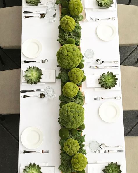 Mixed Greens Event Design on Instagram: “So nice had to post it twice ❤#MGED #mixedgreens #tablescape #centerpiece #eventdesign #floraldesign #moss #succulents #gogreen #nyc…” Long Wedding Table Decorations, Corporative Events, Long Table Centerpieces, Green Tablescape, Moss Wedding, Corporate Events Decoration, Green Event, Corporate Event Design, Green Centerpieces