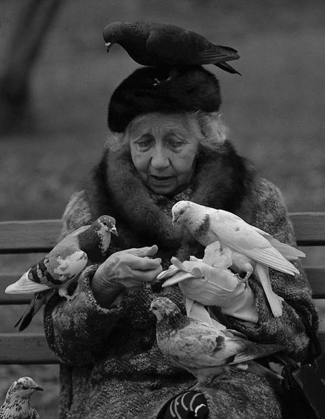 Bird Lady, Central Park Nyc, Julie Andrews, Appaloosa, Mary Poppins, Old Woman, Jolie Photo, Quarter Horse, People Of The World