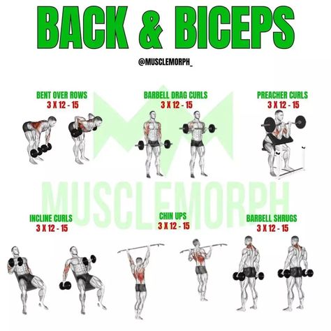 Bicep Destroyer Workout, Back Biceps Workout Men, The Rock Workout Plan, Back And Bicep Workout Dumbell, Back Bicep Workout, Back And Biceps Workout, Delts Workout, Rock Workout, Upper Body Workout Gym