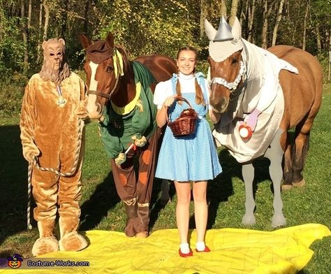 Wizard Halloween Costume, Tin Man Costumes, Wizard Halloween, Horse Halloween Costumes, Horse Halloween, Wizard Of Oz Characters, Horse Costume, Fun Holidays, Cow Costume