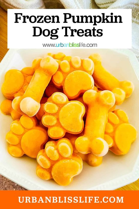 With just two simple ingredients, you can make these homemade frozen pumpkin dog treats for your special pup! Get the easy dog treat recipe from UrbanBlissLife.com. Frozen Pumpkin Dog Treats, Pumpkin Frozen Yogurt, Yogurt Dog Treats, Dog Treats Homemade Pumpkin, Frozen Dog Treats Homemade, Pumpkin Yogurt, Homemade Dog Cookies, Healthy Treats Recipes, Easy Dog Treat Recipes