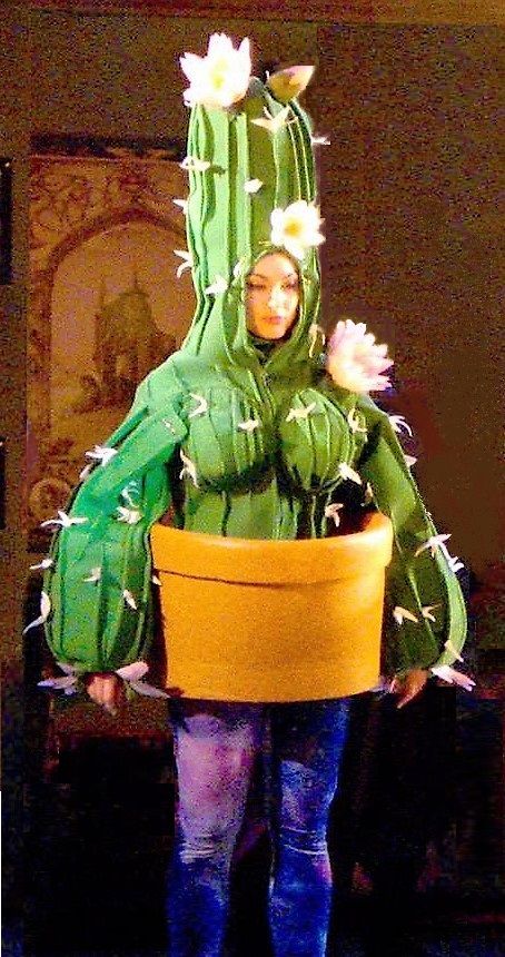 CACTUS costume - with pot Cactus Costume, Female Costumes, Happy Prince, Masquerade Outfit, Fashion Props, The Happy Prince, Costume Carnaval, Federico Fellini, Interesting Photography