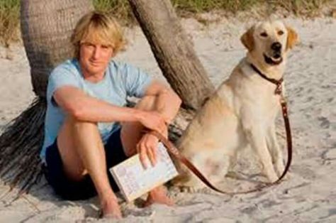 Owen Wilson #OwenWilson Andrew Wilson, Luke Wilson, Marley And Me, Yellow Labs, Dog Movies, Famous Dogs, Owen Wilson, Real Dog, Photos Of Celebrities