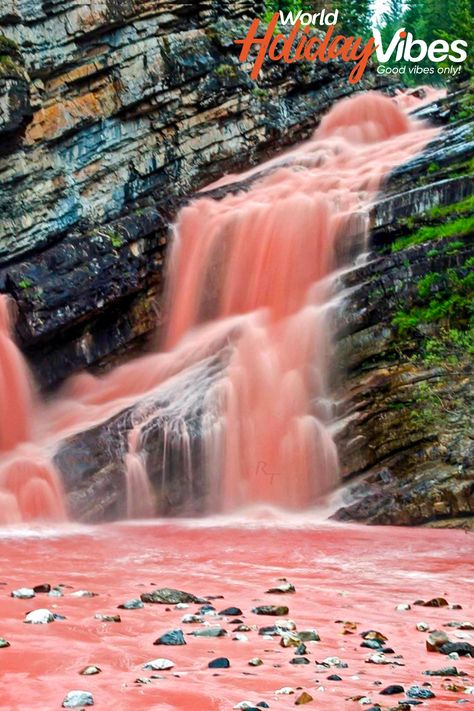 Alberta's Waterton Lakes National Park is the site of Cameron Falls Pink Waterfall, Waterton Lakes National Park, Halong Bay, Beautiful Waterfalls, Alberta Canada, Canada Travel, Amazing Nature, Vacation Spots, Dream Vacations