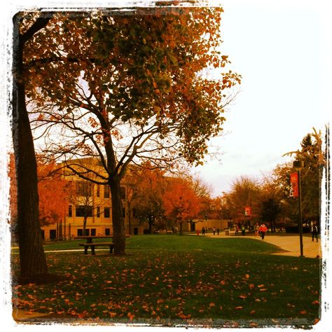 Walking on campus on a beautiful fall day in Bowling Green, Ohio Aesthetic Walking, Bowling Green Ohio, Campus Aesthetic, Bowling Green, Awesome Places, Fall Day, Autumn 2024, Autumn Day, Best Memories