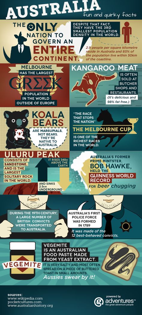 Fun and Quirky Facts About Australia [Infographic] Australia Infographic, Fun Facts About Australia, Australia Humor, Australia Fun Facts, Facts About Australia, Australia Facts, Australia Day, Types Of Animals, G Adventures