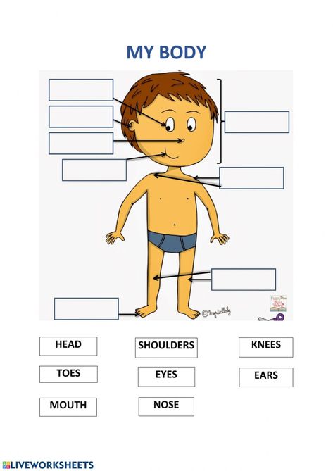 MY BODY - Head Shoulders Knees and Toes - Interactive worksheet Learning Stories Examples, Sleeping Bunnies, Animals Worksheet, Head Shoulders Knees And Toes, Esl Activities, Head Shoulders, English For Kids, English As A Second Language (esl), Health Lessons