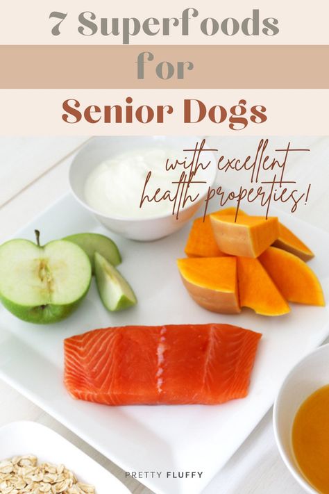 Dog Food For Senior Dogs, Food For Senior Dogs, List Of Superfoods, Senior Dog Food, Excellent Health, Super Foods List, Senior Dog Food Recipes, Healthy Dog Treats Homemade, Healthy Dog Food