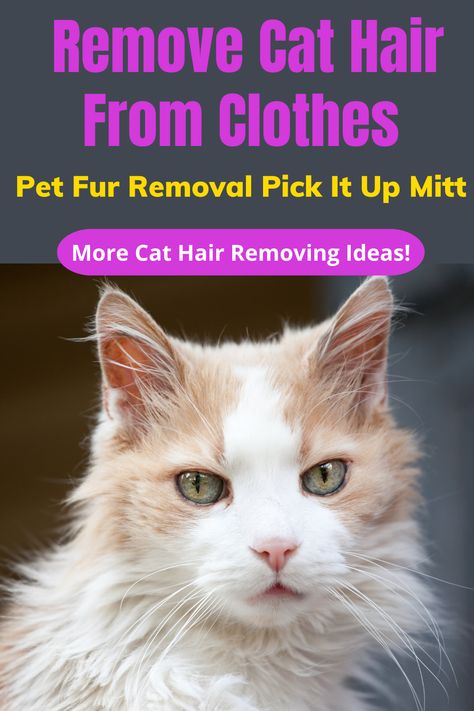 Struggling with cat hair on your clothes? Learn simple solutions to keep your outfits clean and hair-free. Check out the article now. Cat Hair Removal, Black Clothes, Cat Behavior, Cat Hair, Free Hair, Fur Babies, Good Things, Wardrobe, Hair