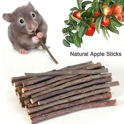 And eating and eating bad can't be normal. 100% natural apple branch to ensure healthy growth of small pet teeth, not because teeth are too long. You can follow below process to chontact us. You can also find yourself in a boring cage to find a little fun! Hamster Chew Toys, Guinea Pig (toy), Hamster Treats, Hamster Care, Animal Ideas, Toy Wood, Bunny Cages, Hamster House, Guinea Pig Toys