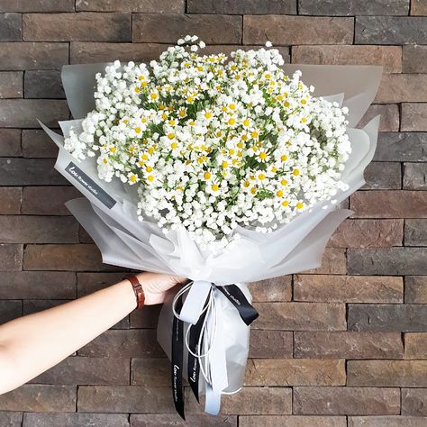 Proposal bouquet of gypsophila and chamomile daisies. Daisy And Gypsophila Bouquet, Chamomile Flower Bouquet, Tulips And Daisy Bouquet, Proposal Bouquet, Pink Hydrangea Bouquet, Chamomile Bouquet, Hello Kitty Bouquet, Daisy Flower Bouquet, Gypsophila Bouquet