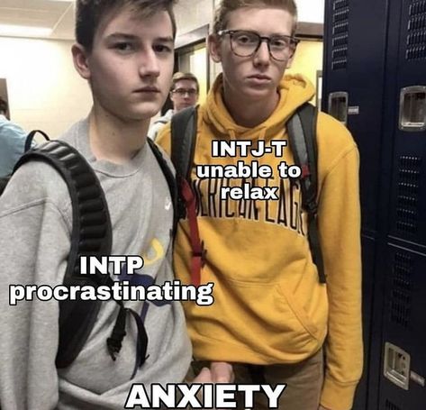 Intp Relationships, Mbti Charts, Mbti Test, Intj T, Intp Personality Type, Intp T, Intp Personality, Intj Intp, Intj Personality