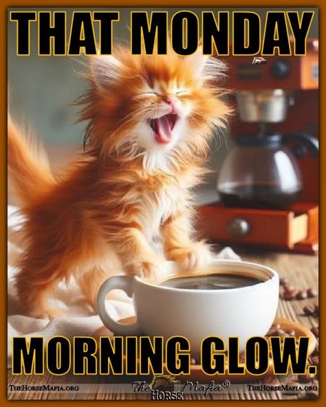 Happy Monday Morning Quotes, Monday Coffee Humor, Monday Coffee Quotes, Happy Monday Morning Inspiration, Monday Morning Quotes Humor, Coffee Monday, Funny Coffee Quotes Mornings, Good Morning Monday, Monday Morning Humor