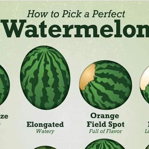 Caldwell B. Esselstyn, Jr., MD on Instagram: "Several followers asked about the recent post to #instastory about #watermelon. Here is the poster from @eagleeyeproduce which truly explains how to pick the best watermelon. If you’re looking for antioxidants plus Vitamins A + C, watermelon has it all. 🍉🍉🍉🍉🍉🍉 #dresselstyn #summer #antioxidants" Picking Watermelon, Have A Beautiful Sunday, Beautiful Sunday, Sweet Watermelon, Potager Garden, Fit Over 40, Natural Health Care, Alkaline Foods, Eat The Rainbow