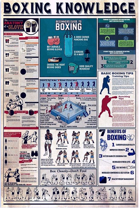 Boxing Anatomy, Boxing Knowledge, Workout Girly, Upper Body Weight Workout, Fighter Workout, Boxing Training Workout, Boxing Techniques, Boxing Drills, Boxing Bags