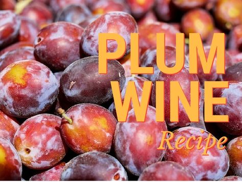 Plum Wine Recipe, Homemade Mead, Making Moonshine, Rhubarb Wine, Wine Making Recipes, Homemade Wine Recipes, Blueberry Wine, Diy Alcohol, Mead Recipe