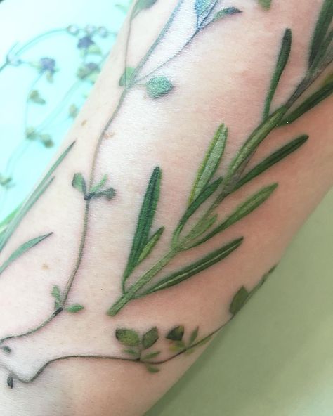 Rosemary Tattoo, Tiny Tattoo Ideas, Tattoos Tiny, Rose Sleeve, Creative Tattoo, Body Decor, Meaningful Tattoos For Women, Tattoo Sleeves, Small Meaningful Tattoos