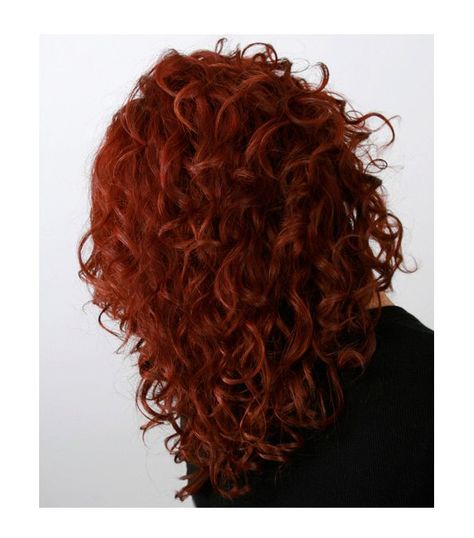 Dark Ginger Curly Hair, Dark Orange Hair, Redhead Hair Color, Red Orange Hair, Shades Of Red Hair, Natural Red Hair, Red Curly Hair, Red Hair Don't Care, Dark Red Hair