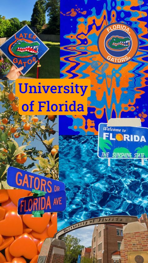 Florida Gators Aesthetic Wallpaper, University Of Florida Wallpaper, Uf Wallpapers, College In Florida, Florida College Aesthetic, Florida Aesthetic Wallpaper, Uf Aesthetic, University Of Florida Aesthetic, Florida Collage