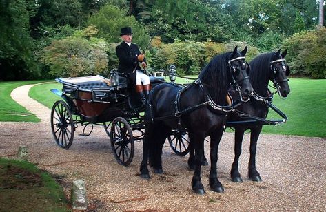 Horse drawn carriage hire for weddings in Berkshire & Surrey | Ascot Carriages Horse And Carriage Wedding, Horse Drawn Carriage, Wedding Carriage, Horse Wedding, Horse And Buggy, Dressage Horses, All About Horses, Trafalgar Square, London Tours