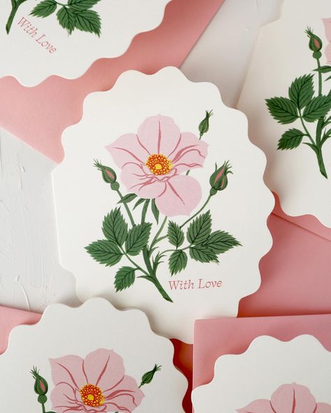 Botanica Paper Co. (@botanicapaperco) • Instagram photos and videos Cardboard Sculpture, Valentine Greeting Cards, Valentines Greetings, Greeting Card Illustration, Paint Cards, Friendship Cards, Card Illustration, Wild Rose, Wild Roses