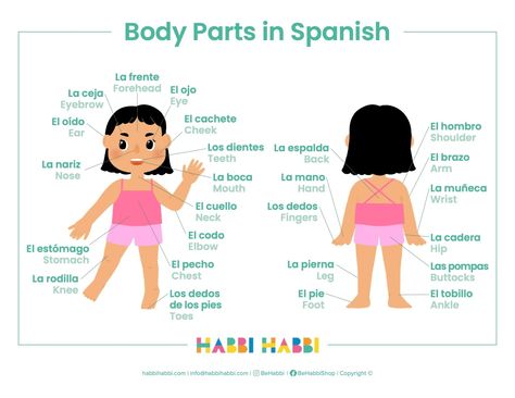 Learn 30+ Body Parts in Spanish - Free Printable included – Habbi Habbi Spanish Body Parts, Body Parts In Spanish, Spanish Games, Spanish Names, French Kids, Spanish Worksheets, French Songs, Baby Yoga, Easy Meditation