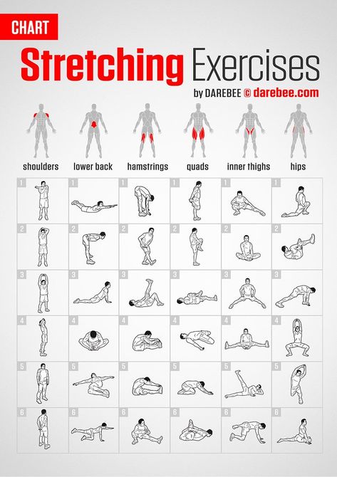 Full Body Stretching Exercises For Men, Stretches For Arm Day, Stretching For Men, Flexibility Workout For Men, Streching Excersise Flexibility, After Workout Stretches, Stretching Tips, Cheer Training, Chair Exercises For Abs