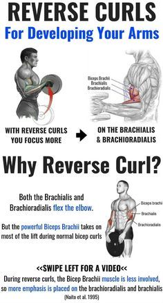 Bigger Biceps Workout, Big Biceps Workout, Biceps Curl, Bigger Biceps, Reverse Curls, Bicep And Tricep Workout, Forearm Workout, Big Biceps, Muscle Building Workouts