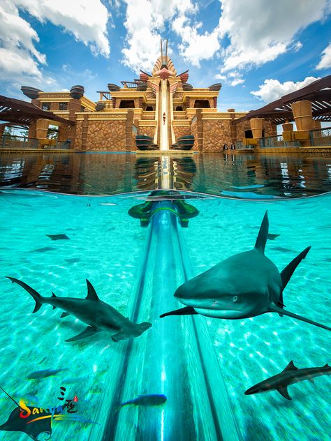 Aquaventure offers extreme levels of fun for the whole family and an unforgettable day out. Get the adrenaline pumping with incredible gravity-defying water slides that delight and excite at the same time, or explore the park's fast-moving waterways and mysterious underwater rivers and tunnels! #FancySanya #Atlantis 😎🤣🤩 Underwater River, Fancy Water, Elegant Bathroom Design, Java Island, 7 Continents, Ocean Park, Surf Lesson, Luxury Pool, Stories Ideas