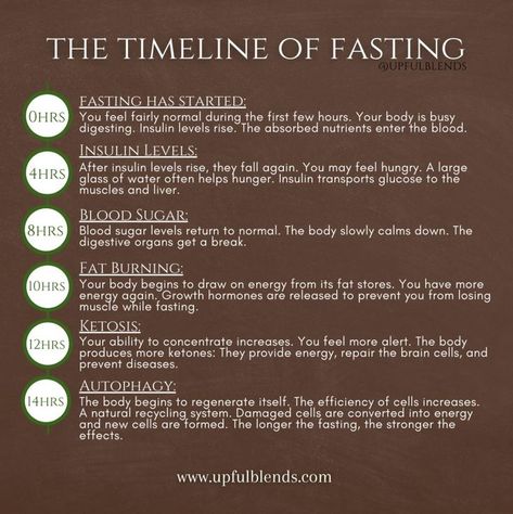 Here is what happens with your body once you start fasting! The benefits are truly AMAZING!⁠ ⁠ #naturaldetox #holistichealing #healingwithherbs #healyourbody #holistichealthjourney #holistichealth #bodycleanse #detoxtime #detoxification #naturalweightloss #selfcarejourney #selfcare #herbalteablend #juicing #juicecleanse #loveyourbody #fasting #howtofast Alkaline Body, Digestive Organs, Body Detoxification, Herbal Tea Blends, Body Cleanse, Natural Detox, Feeling Hungry, Juice Cleanse, Blood Sugar Levels