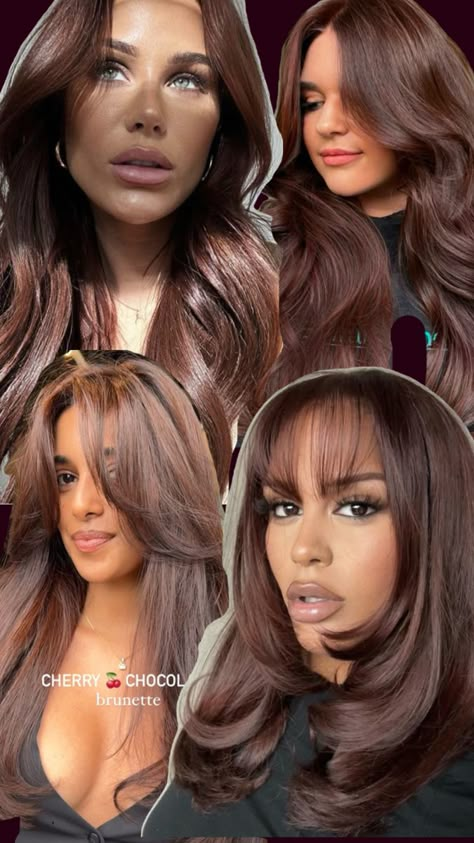 Cherry Chocolate Hair, Dark Cherry Hair, Kylie Jenner Hair Color, Cherry Brown Hair, Mocha Color Hair, Chocolate Brunette, Balayage Hair Caramel, Cherry Hair Colors, Mocha Hair