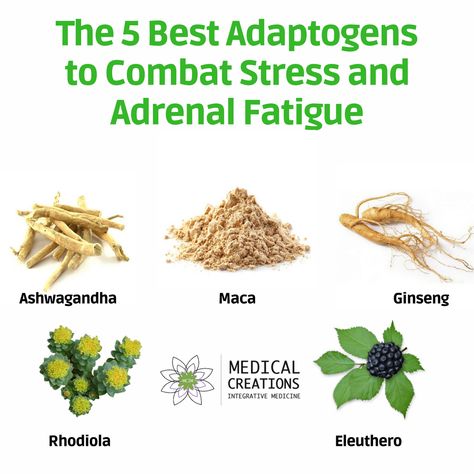 Herbs For Cortisol, Herbs For Fatigue, Herbs For Adrenal Fatigue, Cortisol Reduction Diet, Hpa Axis Dysfunction, Adaptogen Herbs, Symptoms Of Adrenal Fatigue, Cortisol Reduction, Health 2023