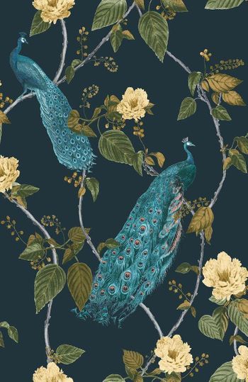 Gorgeous Wallpaper, Peacock Wallpaper, Blue Feathers, Colour Contrast, Repeat Prints, Navy Wallpaper, In The Navy, Graham & Brown, Night Garden