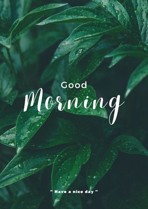 Good Morning Asthetic Wishes, Good Morning Photography, Good Morning God Images, Good Morning Videos, Good Morning Aesthetic, Good Morning Spiritual, Green Morning, Morning Massage, Good Morning Pics