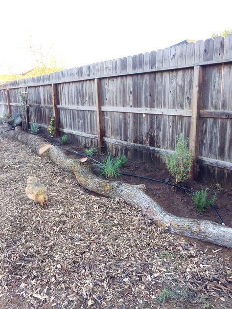 Log Edging Ideas, Log Edging, Log Edging Garden, Log Garden Edging, Logs Ideas Garden, Log Border Edging, Log Border Garden, Using Logs As Garden Edging, Log Flower Bed