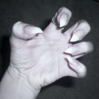 Sharp Pointy Nails, Teeth Aesthetic, Vampire Nails, Animal Features, Werewolf Aesthetic, Sharp Claws, Lion Cat, Sharp Nails, Vampire Halloween