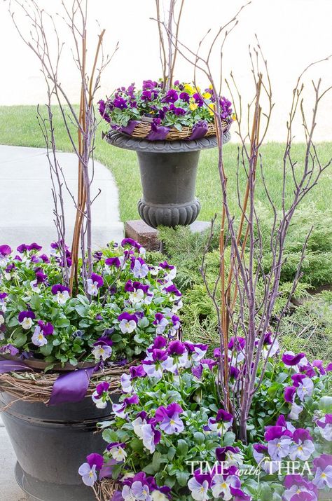 How To Create A Gorgeous Pansy Outdoor Planter In Four Easy Steps Spring Planter, Modern Plant Stand, Container Gardening Flowers, Outdoor Planter, Bug Spray, Pansies Flowers, Garden Containers, Container Flowers, Outdoor Planters