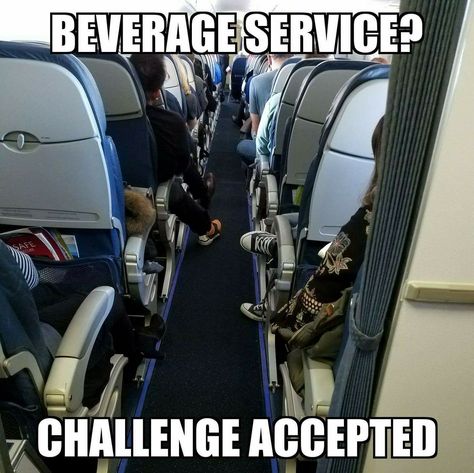 Flight Crew Humor, Plane Memes, Crew Quote, Flight Attendant Quotes, Airline Humor, Pilot Humor, Flight Attendant Humor, Aviation Quotes, Funny Pilot