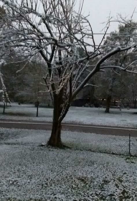 I woke up in a winter wonderland! Houston Texas. Texas Winter Aesthetic, Winter In Texas, Texas Aesthetic, Texas Winter, Snowed In, Loving Texas, The Four Seasons, Best Seasons, Winter Aesthetic