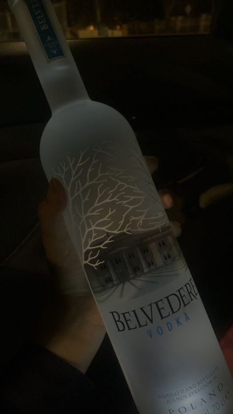 Liquor Snapchat, Smirnoff Bottle, Vine Bottle, Alcoholic Drinks Pictures, Belvedere Vodka, Liqueur Drinks, Party Night Club Aesthetic, Glasses Trends, Cute Quotes For Him