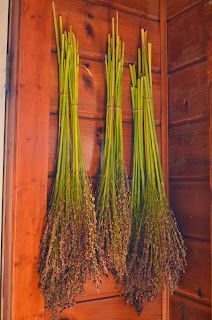 Making Brooms, Fall Broom, Vintage Skills, Broom Making, Preserving Flowers, Corn Husk Crafts, Survival Prep, Handmade Broom, Pine Needle Crafts