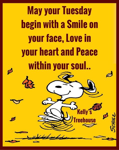 Snoopy Tuesday Quotes, Snoopy Tuesday, Tuesday Funny, Snoopy Hug, Charlie Brown Quotes, Morning Tuesday, Good Morning Snoopy, Good Morning Tuesday, Good Morning Happy Friday